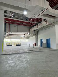 Ct Foodnex (D25), Factory #498352401